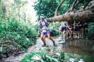 BIB: 
                            <button type="button" onclick="openModal(25466751)" class="btn btn-primary btn-sm float-right btn-popup" data-toggle="modal" data-target=".modal-high-quality">
                        <i class="fas fa-shopping-cart"></i> Add to Cart
                    </button>
                                            <button type="button" onclick="isThisMe(25466751, true)" class="btn btn-success btn-sm float-right btn-popup btn-isme hidden" data-toggle="tooltip" data-placement="bottom" title="นี่คือรูปของคุณใช่ไหม คลิกที่นี่เพื่อเอาเข้าอัลบั้ม">
                        <i class="fas fa-plus"></i> Add to album
                    </button>
                    <button type="button" onclick="isThisMe(25466751, false)" class="btn btn-warning btn-sm float-right btn-popup btn-isnotme hidden">
                        <i class="fas fa-ban"></i> Remove from album
                    </button>